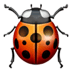 :lady_beetle: :lady_beetle: